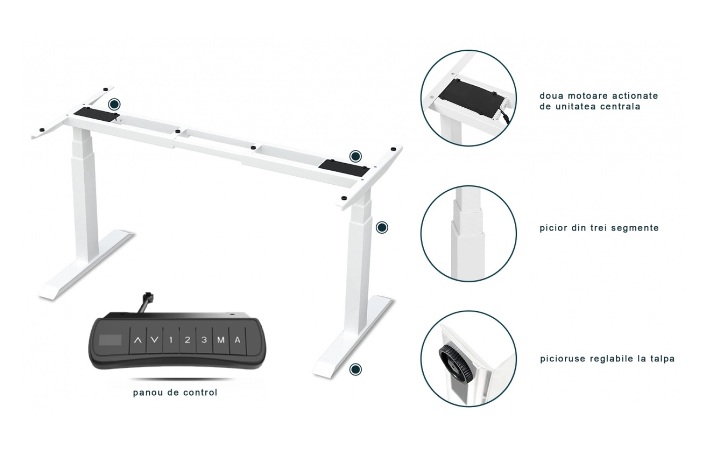 Birou reglabil electric, trei segmente si doua motoare